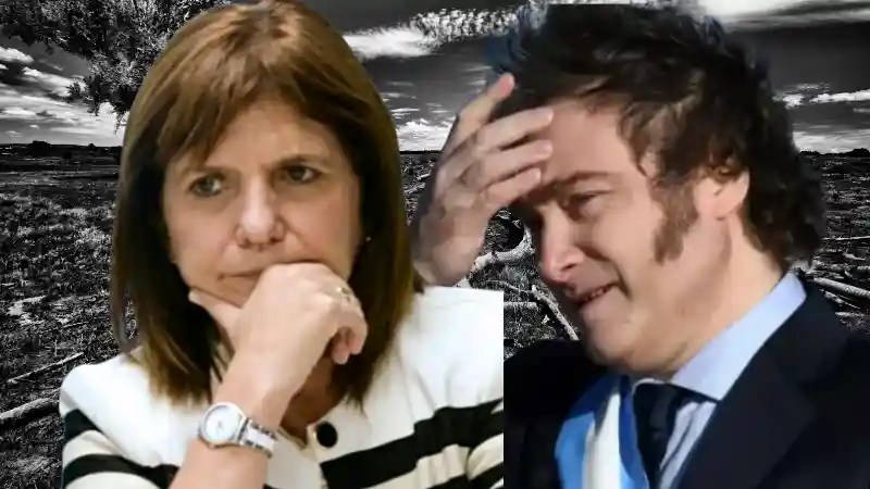 milei bullrich (1)